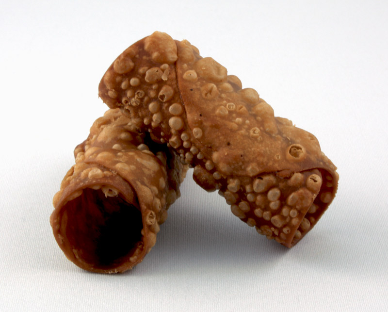 Cannoli Siciliani Pastry Shells A photo of 2 Cannoli Siciliani pastry shells.