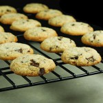 Hazelnut Cookies with Chocolate Chunks {Biscotti alle Nocciole e Cioccolato}